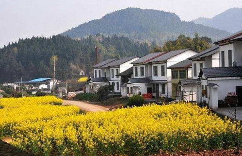 为什么有些人天生对风水特别敏感？村庄风水有哪些必看的100幅图？