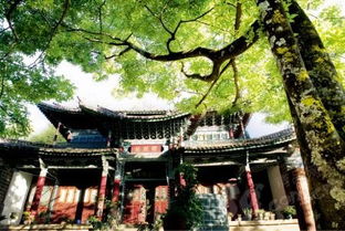 第一印象：山谷里的低语