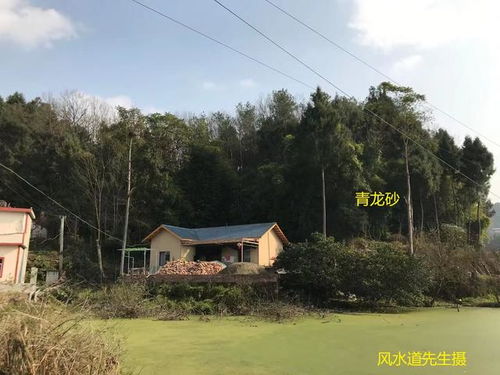 四川绵阳三台县有没有风水先生或风水女先生可以咨询？