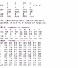 如何同过八字命理查询实例来分析个人命运？