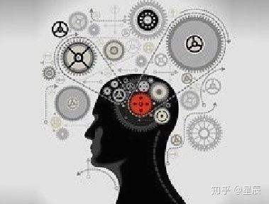 第一章：米粒的低语 (噪音1)