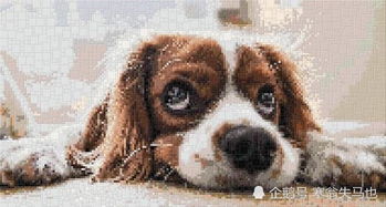 麦玲玲2026年属狗人全年运势详解具体包括哪些方面？