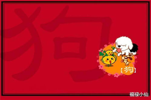 蛇年生人的特殊吸引力表现