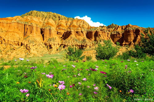 一日游：忙碌生活的救命稻草？