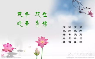 仪轨十分沉关键性及其较深层含义