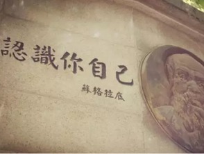 心理状态学干预方案设计框架
阶段目标具体操作要素
认知沉重构阶段① 每日记录三件自己决定可控事件② 