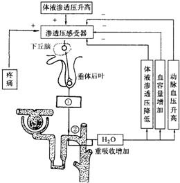 缺角结构的补救措施