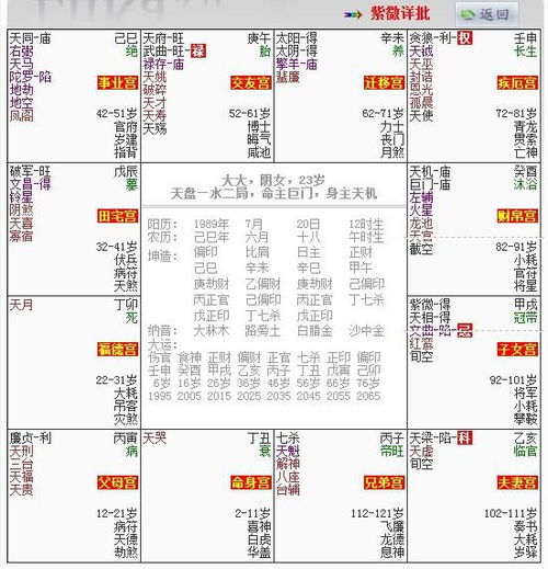 5. 天机·巨门同宫或互照：细致入微却孤立无援