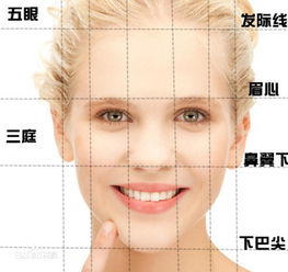 3.1 脸型几何匹配原则