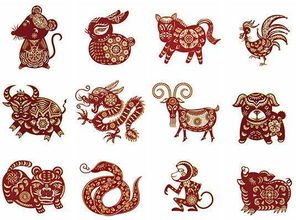 哥哥属猪弟弟属虎，这种性格组合对家庭关系有何影响？