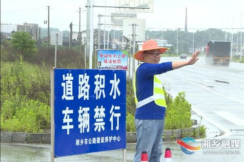 2. 社交媒体平台语境中的情感投射