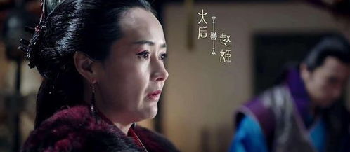 一、 历史背景：嫪毐与太后的权力博弈