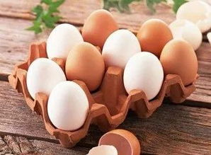 生肖鼠：特禀体质的过敏风险与规避策略