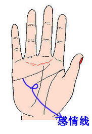 手相特征与情商水平的对应关系分析