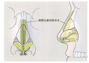 1．技术手段原理与临床实施细节