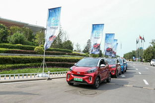 这个月为何两次遭遇追尾，风水小宗师能给出什么破解之道？