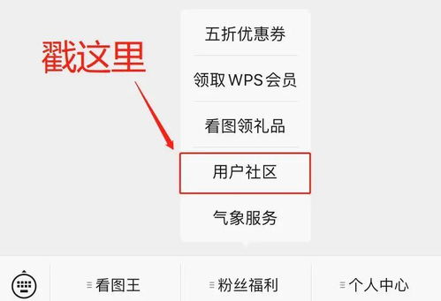 社区互动与用户反馈