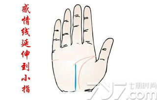 女人手相中双感情线代表什么？