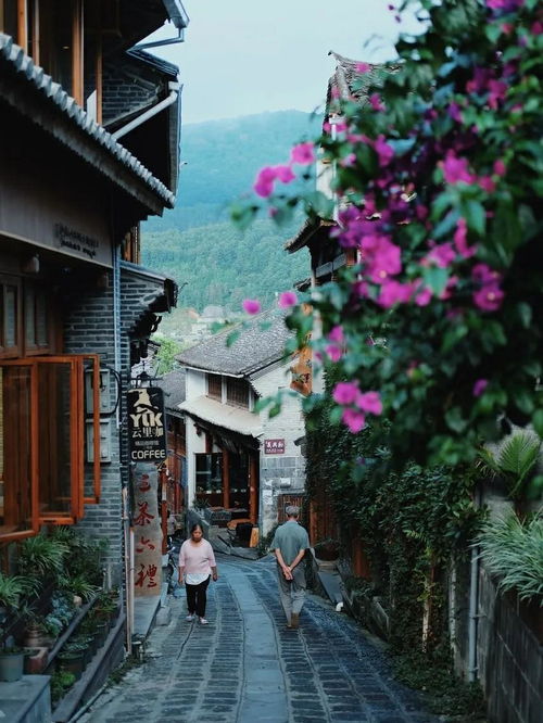 交通&住宿乱套版：