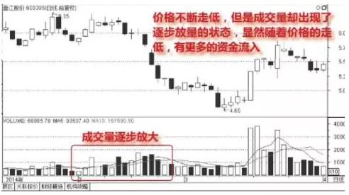 ：以观察为切入点的财运判定框架