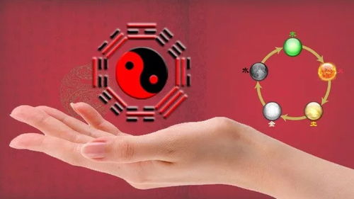 星座运势大杂烩：2025年12月谁在走狗屎运？