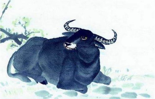 属牛者：才华难展的困境