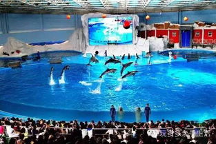 8. 极地海洋世界：动物悲鸣录