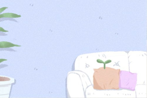 杨柳木女孩：柔美灵动的适配