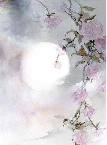 兔年·双子座：月出惊山鸟·双生幻影