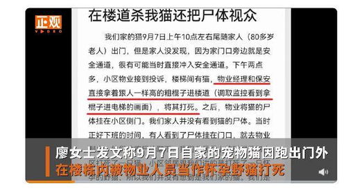 ：城市生态与人文环境的交织