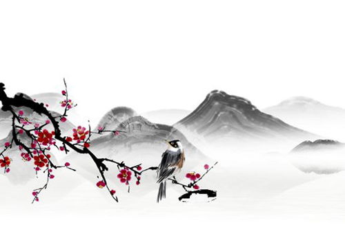 属兔和属马的合伙做生意财运如何，他们能和谐合作吗？