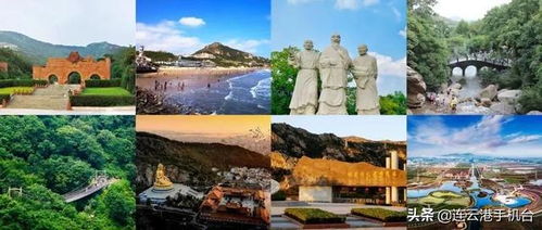 珠海那片绿啊，看得人想哭！