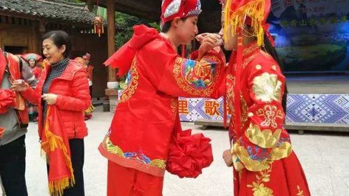 自梳女的概念补充