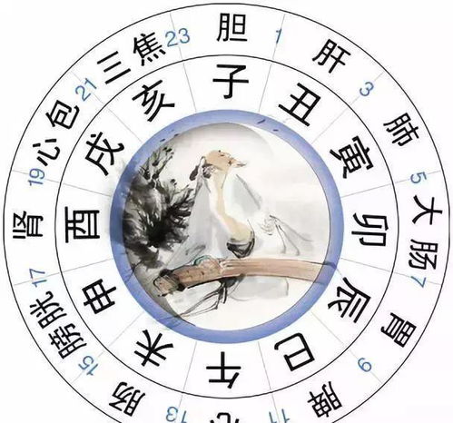 丑时出生的辛未日柱人：情感困境之核心分析