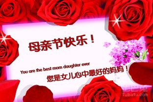 2. 十七世纪中叶英伦的制度化转折