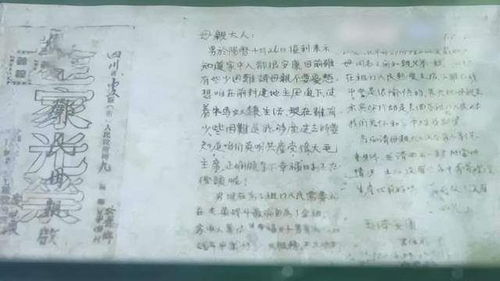 一、 网络时代的起名实践及其学术实际价值