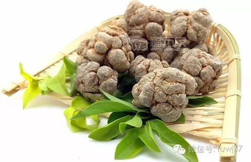 解发三七左右是什么生肖？