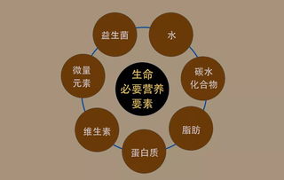 启动时机的择日原则