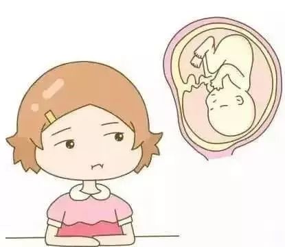 饱腹感对应哪个生肖年，胖瘦特征又分别代表哪些生肖？