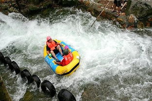 景区内消费，宰你没商量（血淋淋的真相！）
