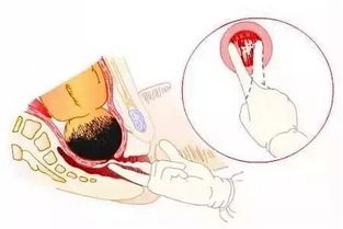 二、 五指细节的深度解读与运势映射