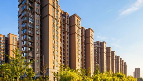 属龙的人买房子应该选择哪一层的楼层最吉利？