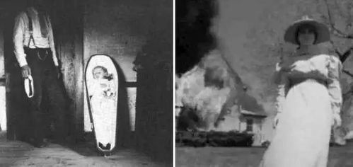 2.2 暗黑三角形理论视角下群体行为解析