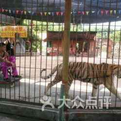 免费开放日：人类大型迁徙现场