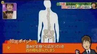 生肖干支冲突理论