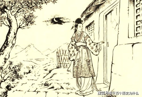 风水与阴阳视角的解释