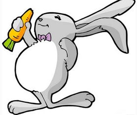 1987年属兔的人哪一年运势最旺？