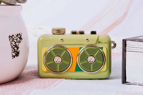 唱机喇叭对家居风水有影响吗？