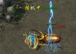 七杀女命：本质特征与潜在影响