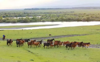 官方通知：昭苏景区暂停详情